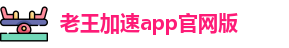老王加速app官网版